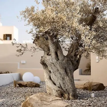 Aelios Naxos *